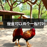 定金可以两个一起付吗（图3）