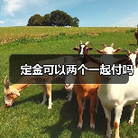 定金可以两个一起付吗（图3）