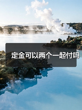 定金可以两个一起付吗（图4）