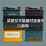 买房交不起首付定金可以退吗（图4）