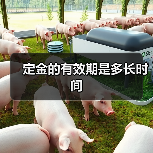 定金的有效期是多长时间（图1）