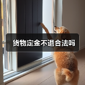 货物定金不退合法吗（图2）