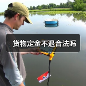货物定金不退合法吗（图4）