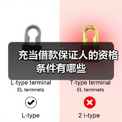 充当借款保证人的资格条件有哪些（图4）