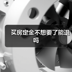 买房定金不想要了能退吗(图3) 买房定金不想要了能退吗(图3)