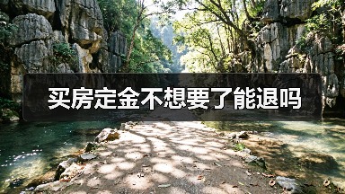 买房定金不想要了能退吗(图1) 买房定金不想要了能退吗(图1)