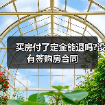 买房付了定金能退吗?没有签购房合同(图2) 买房付了定金能退吗?没有签购房合同(图2)