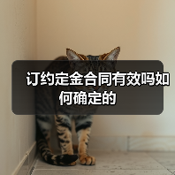 订约定金合同有效吗如何确定的(图1) 订约定金合同有效吗如何确定的(图1)