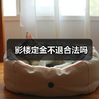 影楼定金不退合法吗(图3) 影楼定金不退合法吗(图3)