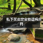 私下买卖定金能退吗合同（图2）