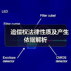 追偿权法律性质及产生依据解析（图2）