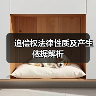 追偿权法律性质及产生依据解析（图4）