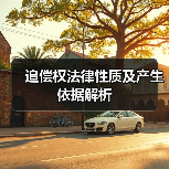 追偿权法律性质及产生依据解析（图3）