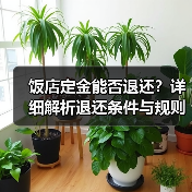 饭店定金能否退还？详细解析退还条件与规则（图4）