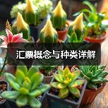 汇票概念与种类详解（图3）