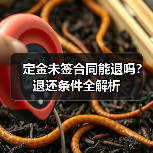 定金未签合同能退吗？退还条件全解析（图3）