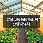 定金没签合同能退吗？分情况详解（图3）