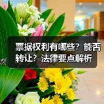 票据权利有哪些？能否转让？法律要点解析（图3）
