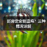 新房定金能退吗？三种情况详解（图4）