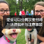 定金可以分两次支付吗？法律解析与注意事项（图1）