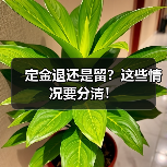 定金退还是留?这些情况要分清!(图3) 定金退还是留?这些情况要分清!(图3)