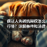保证人先诉抗辩权怎么行使?详解条件和法律依据(图3) 保证人先诉抗辩权怎么行使?详解条件和法律依据(图3)