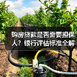 购房贷款是否需要担保人?银行评估标准全解析(图3) 购房贷款是否需要担保人?银行评估标准全解析(图3)