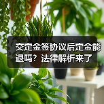 交定金签协议后定金能退吗?法律解析来了(图2) 交定金签协议后定金能退吗?法律解析来了(图2)