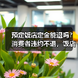 预定饭店定金能退吗？消费者违约不退，饭店违约需双倍返还（图4）