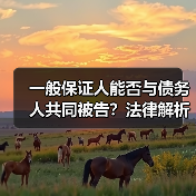 一般保证人能否与债务人共同被告?法律解析(图4) 一般保证人能否与债务人共同被告?法律解析(图4)