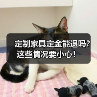 定制家具定金能退吗?这些情况要小心!(图1) 定制家具定金能退吗?这些情况要小心!(图1)