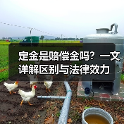 定金是赔偿金吗？一文详解区别与法律效力（图3）
