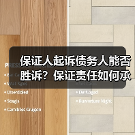 保证人起诉债务人能否胜诉？保证责任如何承担（图4）