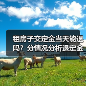 租房子交定金当天能退吗？分情况分析退定金可能性（图2）