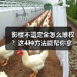 影楼不退定金怎么维权?这4种方法能帮你拿回钱(图4) 影楼不退定金怎么维权?这4种方法能帮你拿回钱(图4)