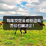 购车交定金后能退吗?责任归属决定!(图1) 购车交定金后能退吗?责任归属决定!(图1)