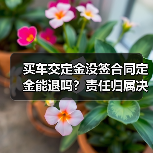 买车交定金没签合同定金能退吗?责任归属决定退还是留(图4) 买车交定金没签合同定金能退吗?责任归属决定退还是留(图4)