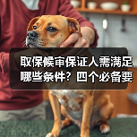 取保候审保证人需满足哪些条件？四个必备要求详解（图4）