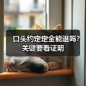 口头约定定金能退吗？关键要看证明（图3）
