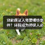贷款保证人需要哪些条件？详解成为担保人必备资格（图4）