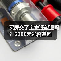 买房交了定金还能退吗？5000元能否追回（图4）