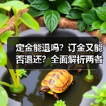 定金能退吗？订金又能否退还？全面解析两者差异（图3）