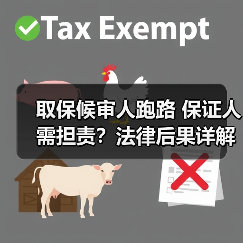取保候审人跑路 保证人需担责？法律后果详解（图1）