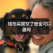 现在买房交了定金可以退吗(图1) 现在买房交了定金可以退吗(图1)