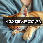 假释保证人还是保证金(图4) 假释保证人还是保证金(图4)