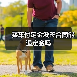 买车付定金没签合同能退定金吗（图1）