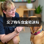 交了购车定金能退吗(图3) 交了购车定金能退吗(图3)