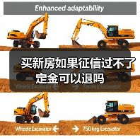 买新房如果征信过不了定金可以退吗（图3）