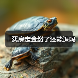 买房定金缴了还能退吗(图1) 买房定金缴了还能退吗(图1)