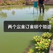 两个定金订金哪个能退（图4）